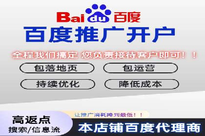 实战案例：SEM广告投放的优化策略